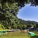 피쉬랜드낚시터 이미지