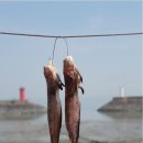 쌍둥이민박 이미지