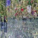 베고니아 | 4월 여행지 추천 | 서울 근교 데이트로 딱! 가평베고니아새정원 후기