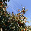 서동민박 이미지