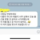 현재 논란중인 태풍이라 출근 못한다고 통보한 직원의 문자 이미지