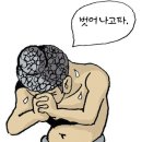 호사다마