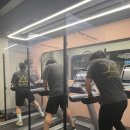 D-GYM 이미지