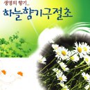 관춘농장 Daum카페