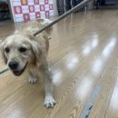 명륜여자중학교 이미지