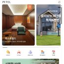 로얄애견 | 제주도 리조트 휘닉스 아일랜드 제주 애견 동반 로얄룸 페텔 예약