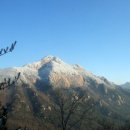 하늘재농장 이미지