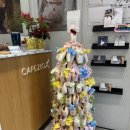 발레샵, 서울 강남구 청담동 CAPEZIO 발레 용품 오프라인 매장 후기, 성인 레오타드 및 웨어무아 슈즈 추천