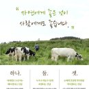 건강한 목장 이미지