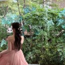 참빗헤어 - 논산시 | W3.헤어변형 [스튜디오촬영 헤어변형 후기] 그해가을