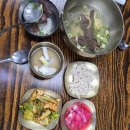 화랑식당 - 밀양시 | [함평 맛집] 세월이 증명하는 육회비빔밥의 성지, '화랑식당' 솔직 후기