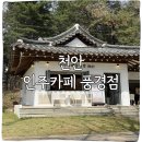 인주베이커스필드 | 인주카페 풍경점 벚꽃시즌 방문 연못뷰 대박예쁜 리얼후기