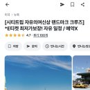 뉴욕도그랜드 이미지