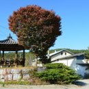 새내역사체험마을 이미지