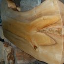 은행나무로 이미지