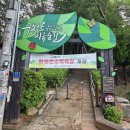 구봉산 치유숲길 입구 | 구봉산 치유숲길 황톳길 맨발걷기 편백나무 울창한 힐링 명소