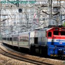 구로-구로-구로-1211 이미지