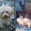 성대농장 이미지