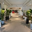 삼호 스크린골프 이미지