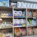 응답하라 몽몽이 이미지