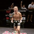 링 종합격투기 이미지