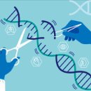 에스와이게임 이미지