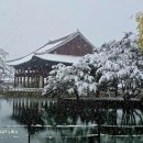 팔만대장경의 역사