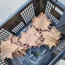 솔터초등학교 | 유치원 타일 공예 체험 출강(방문, 특강) 수업 후기 (경기도 김포시 솔터초등학교 병설유치원)