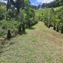 문금 농장 이미지