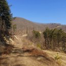 웅치마을길 이미지