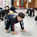 아미초병설 이미지