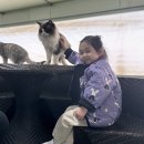 애니멀필드2 | 대구근교 아이랑 실내, 실외 동물 먹이 체험 김천 &#39;애니멀필드&#39; 솔직후기