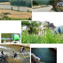 정선 골지천 산소길-미락숲·구미정·연리목···한강 최상류 오지에서 만난 초여름의 풍경 이미지