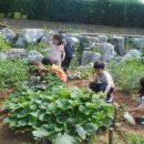 서부초등학교 이미지