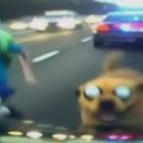 제주궁전 이미지