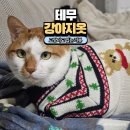 강아지나라 | TEMU 테무 강아지 옷 겨울 니트 사이즈 리뷰 고양이 옷 쇼핑 후기