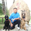 필애견훈련학교 이미지