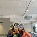 커스텀커피 평촌점 이미지