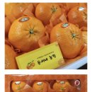 은서농장 이미지