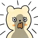엔의원 이미지