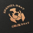 (주)플래티노 네이버블로그