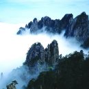(주)화산여행사