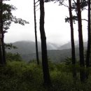 산성등산로1 이미지