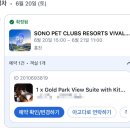 굿독 애견미용클럽 | 소노펫 비발디파크 홍천 솔직후기 | 골드객실 애견동반 내돈내산