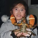 중해레저낚시터 이미지