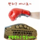 레이캅 침구청소기 리뷰! (신제품) 이미지