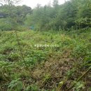 율촌면사무소 이미지