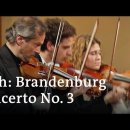 바흐 '브란덴부르그협주곡 제3번' 독주 악기군과 합주부와의 구별 없이 바이올린, 비올라, 첼로 각3부 및 통주 저음이라는 악기 편성으로 이미지