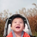 수원대학교 행정대학원 이미지