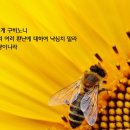 배달천국 이미지